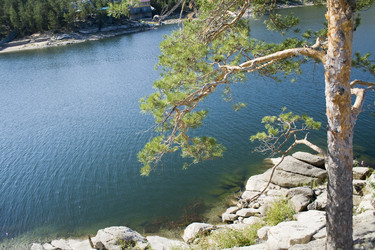 Similar image 804242