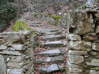 Similar image 804247