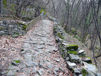 Similar image 804249