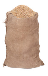 Similar image 804259