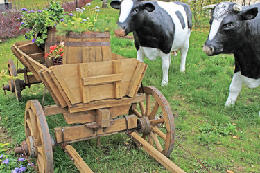 Similar image 804268