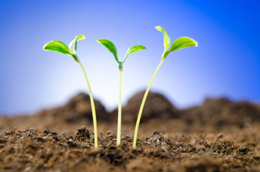 Similar image 804368