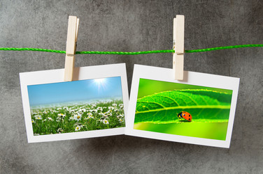 Similar image 804385