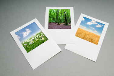 Similar image 804386