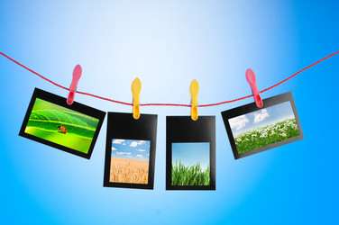 Similar image 804388