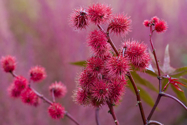 Similar image 804389