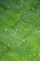 Similar image 804452