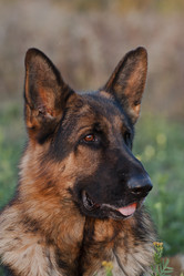 Similar image 804467