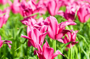 Similar image 804472