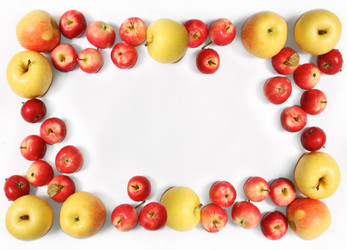 Similar image 804506