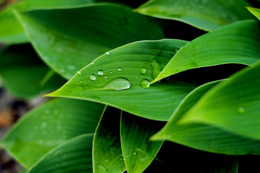 Similar image 804509