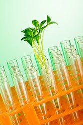 Similar image 804522