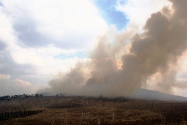 Similar image 804597