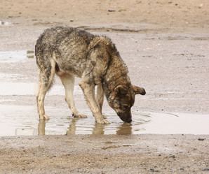 Similar image 804607