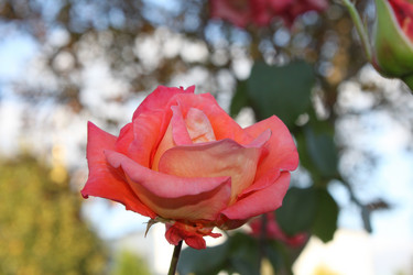 Similar image 804635