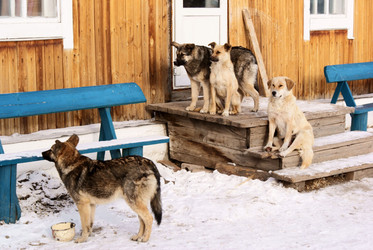 Similar image 804657