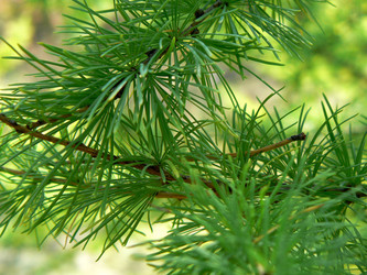 Similar image 804669