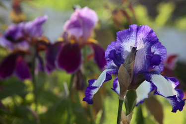 Similar image 804672