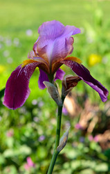 Similar image 804678