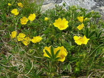 Similar image 804691