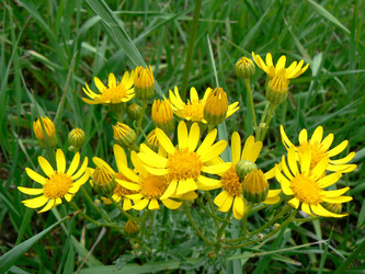 Similar image 804692