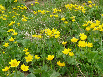 Similar image 804693