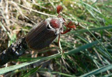 Similar image 804711