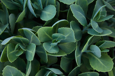 Similar image 804758