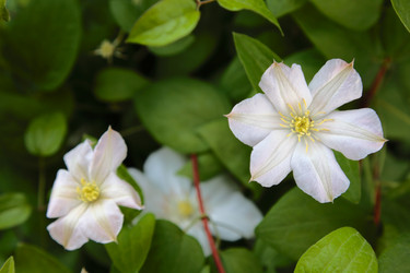 Similar image 804762