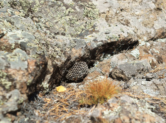 Similar image 804779