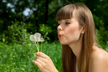 Similar image 804801