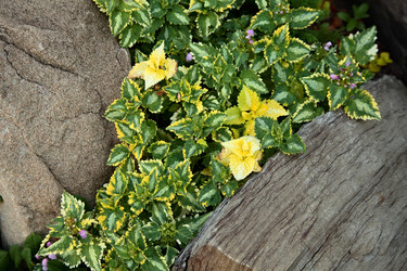 Similar image 804829