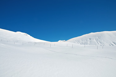 Similar image 804830