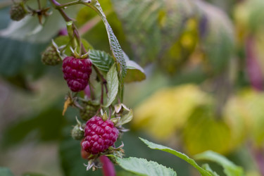 Similar image 804851