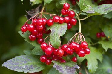 Similar image 804852