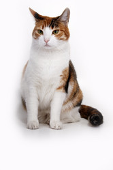 Similar image 804889