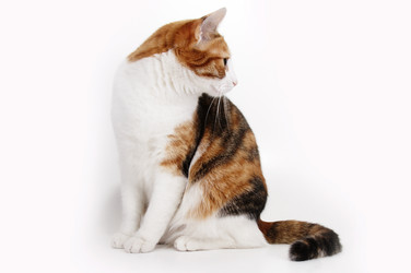 Similar image 804890