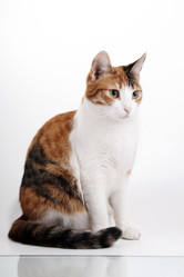 Similar image 804892