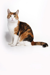 Similar image 804893