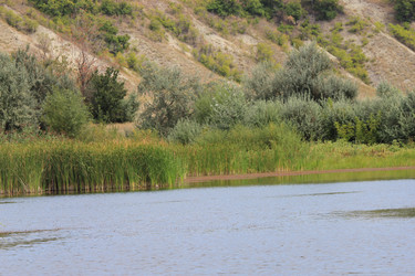 Similar image 804902