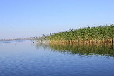 Similar image 804904