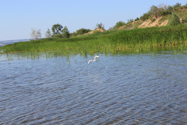 Similar image 804905