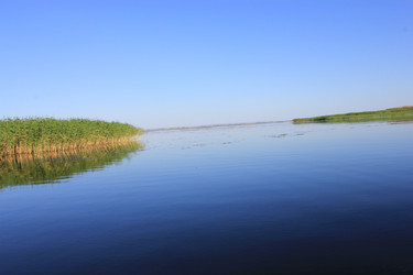 Similar image 804907