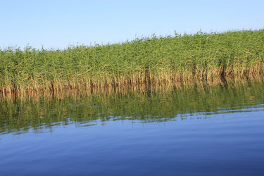 Similar image 804908