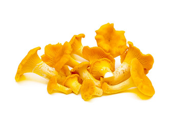 Similar image 804984