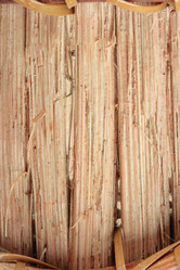 Similar image 805007