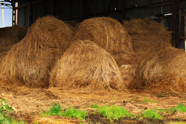 Similar image 805037