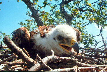 Similar image 805048