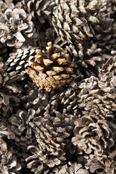 Similar image 805050