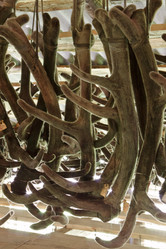 Similar image 805058